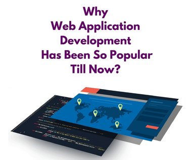 why web application development has been so popular till right now?